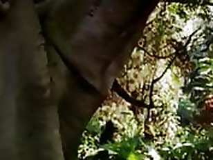 brazil vintage erotic 19289 ▶1:21:40
