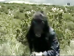 Asia Carrera Porn Tube Videos At Youjizz