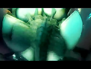 308px x 232px - xenomorph animation monster alien sex human fantasy