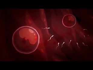 [エロアニ]おチンコが欲しすぎて爆乳おっぱいを差し出してくれる！お尻を何度も突きあげると気持ち良すぎて力が入らなくなっちゃう