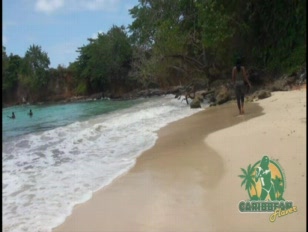 Caribbean Private Beach Sex Video - caribbean Porn Tube Videos at YouJizz