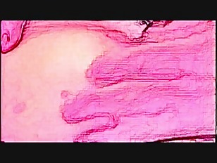 Hiddencam porn video – HOT HOT CARTOON VIDEO