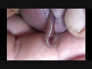 worm play Porn Tube Videos at YouJizz