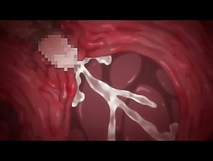 [エロアニ]発情ウイルスが蔓延してる無人島で美女達はキモデブ男にハメてもらって感じまくる♡