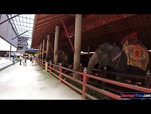 Feeding elephants and sex at home after with big ass Thai GF