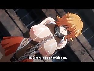 【アニメエロ】目隠しされて手足も拘束されて抵抗出来ない状態で性奴隷、肉便器に転落させられる美女の映像