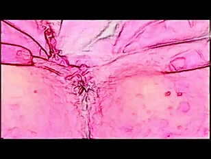 Hiddencam porn video – ANOTHER HOT HOT CARTOON VIDEO