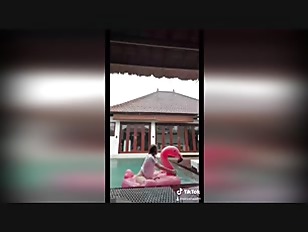 Sw porn video – Hot sexy tiktok girls compilation, showing tits and holesTrevg1Lb